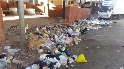 أهالي العجيزى بالغربية يستغيثون من انتشار القمامة: الأمراض والحشرات بتهددنا