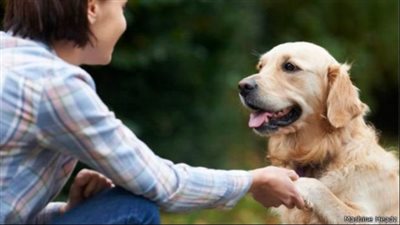 ما حكم تسمية الحيوانات بأسماء الأشخاص؟.. الإفتاء توضح