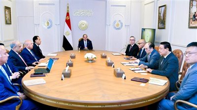  السيسي يبحث مع سكاتك وصنجرو تعزيز استثمارات الطاقة النظيفة والوقود الأخضر