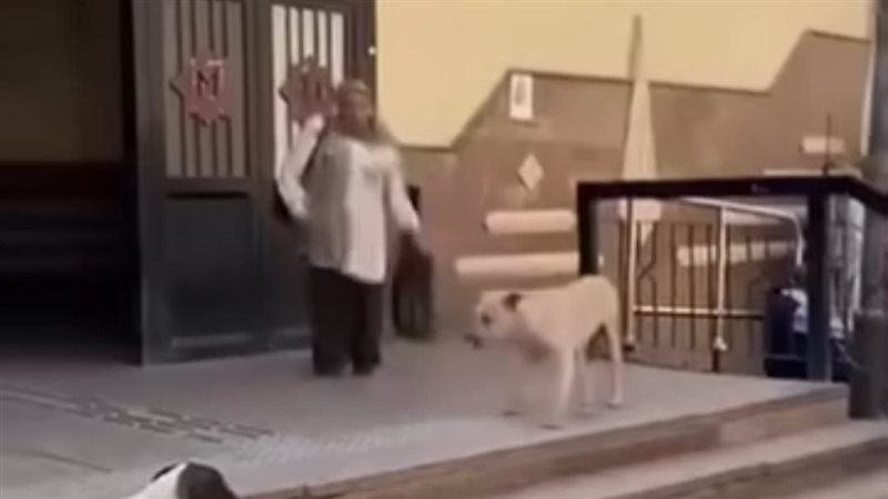 الاعتداء على سيدة
