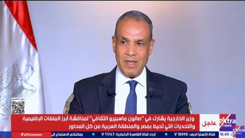 السفير بدر عبد العاطي