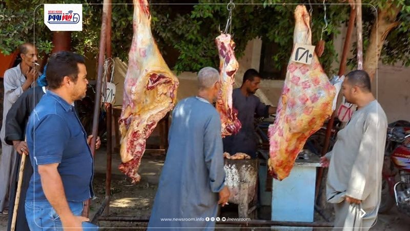 حملات تفتيشية بالمنيا