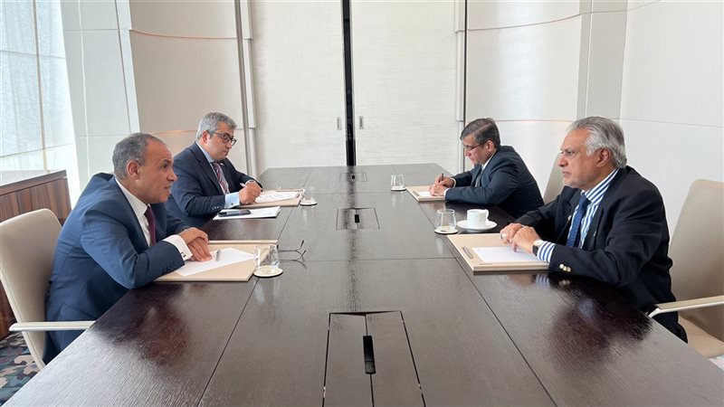 بدر عبد العاطي ونظيرة