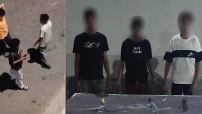 استعراض خطير بالسكاكين بشوارع الإسماعيلية.. الأمن يتحرك ويضبط المتهمين |فيديو