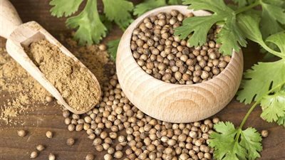 من القلب إلى الهضم.. اكتشف أسرار الكزبرة اليومية للصحة