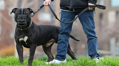 بعد وفاة الطفلة جودي من 