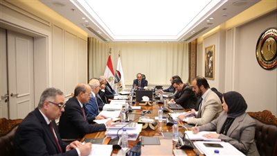 وزير قطاع الأعمال: تعظيم الاستفادة من الأصول وتوسيع الشراكات مع القطاع الخاص 