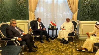 وزيرا مصر والكويت يؤكدان تضامنهما مع قطر في مواجهة العدوان الإسرائيلي