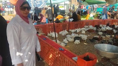 إجراءات مكثفة بالسويس لبحث الصحية والوبائية للطيور في الأسواق