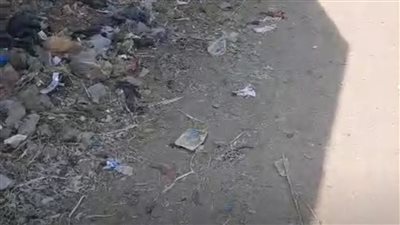 القمامة تحاصر مدارس 