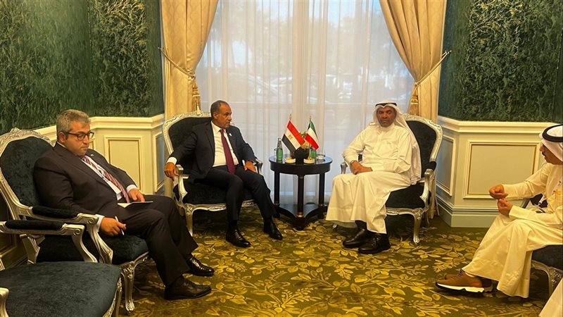 وزيرا خارجية مصر