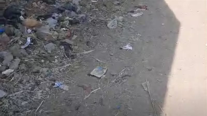 شارع مدرسة نجع عودة