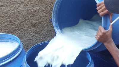 محافظ أسيوط: ضبط طن لبن غير صالح للاستهلاك الآدمي خلال حملة رقابية