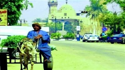 أشهر متسول في الأقصر.. حبس 