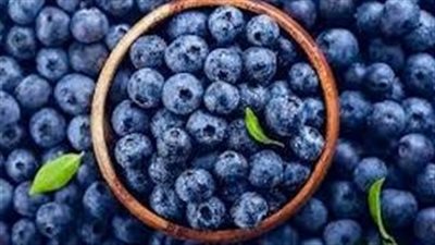 دراسة أمريكية: كوب يومي من التوت الأزرق يُحسّن صحة القلب