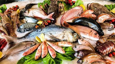  أسعار السمك والجمبري اليوم في سوق العبور.. تباين ملحوظ وتحركات جديدة