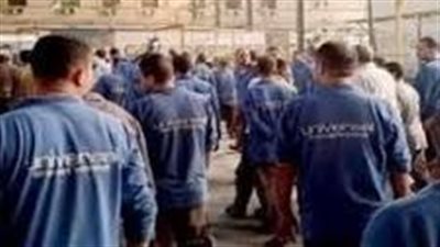 بعد مفاوضات جماعية ليومين.. عمال شركة نايل لينين جروب يعودون للعمل