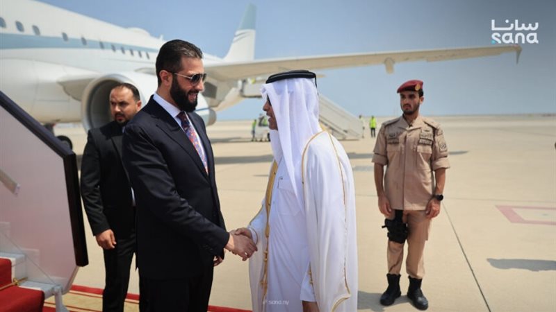 نائب رئيس مجلس الوزراء