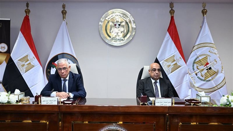 وزير العدل والنائب