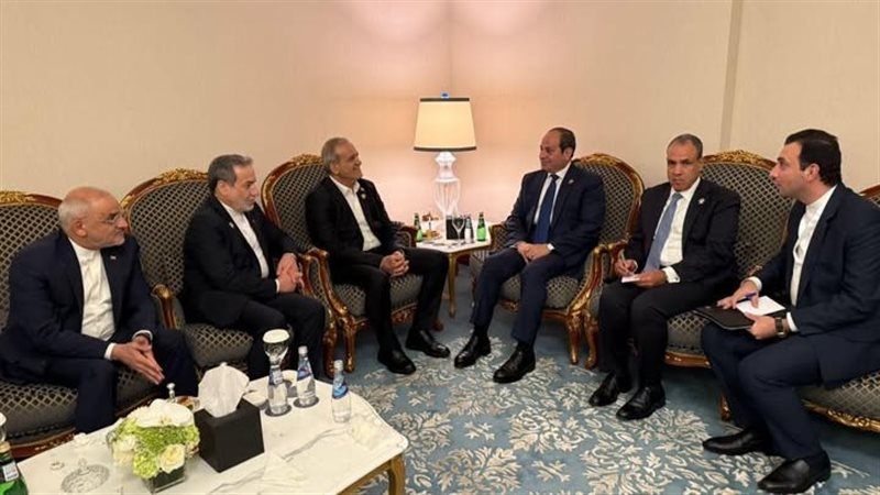 الرئيس السيسى يلتقى