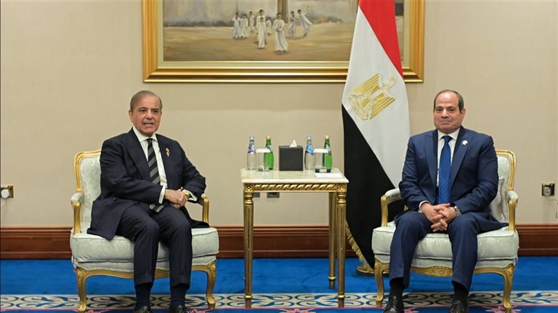 الرئيس السيسي ورئيس