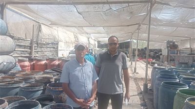 ضبط 3 أطنان مواد غذائية غير صالحة للاستهلاك الأدمي بالبحيرة