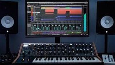 الداخلية: ضبط مسؤول ستوديو غير مرخص بحدائق الأهرام