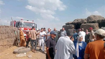 المكان بقى تراب.. نفوق 7 مواشى في حريق حظيرة مواشي بالدقهلية