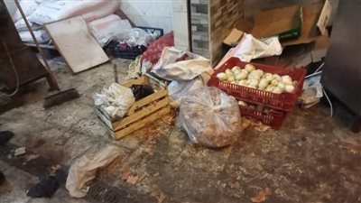 ضبط 250 كيلو دقيق و185 لحوم فاسدة خلال شهر أغسطس ببورسعيد