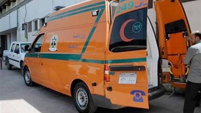 النصف نقل دخلت بعمود الانارة... إصابة شخصين في تصادم بجناين السويس