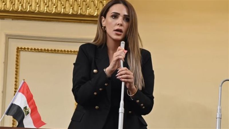 النائبة فاطمة سليم