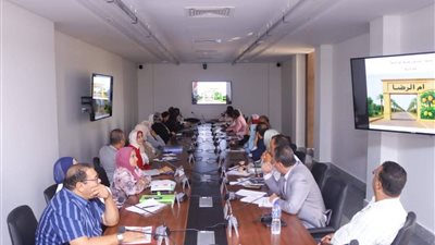 نائب محافظ دمياط تتابع أعمال تطوير مداخل وميادين مداخل المراكز والمدن والقري 