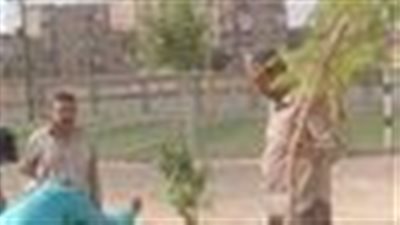 زراعة أشجار بمركز شباب المثلث بالسويس احتفالًا باليوم الدولي للهواء النظيف