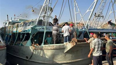 لتوفيره بأسعار مخفضة.. محافظ السويس يطلق مبادرة السمك لأهل البلد