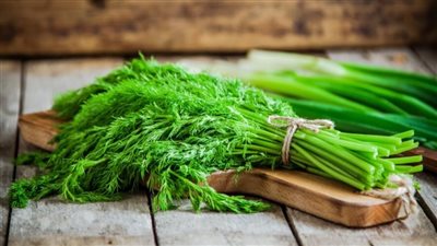 فوائد الشبت للصحة: تعزيز المناعة والعظام ودعم الجسم بشكل طبيعي 