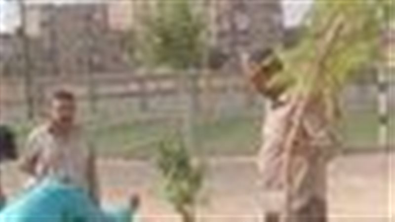 جانب من النشاط