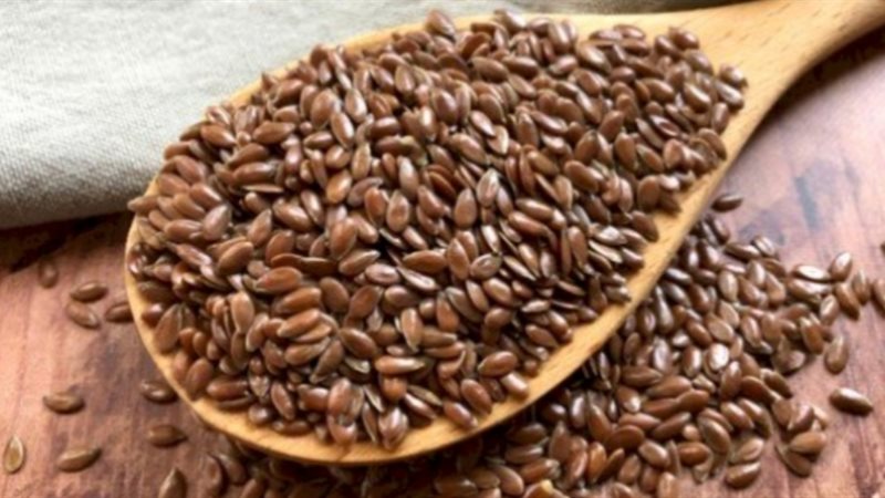 بزور الكتان