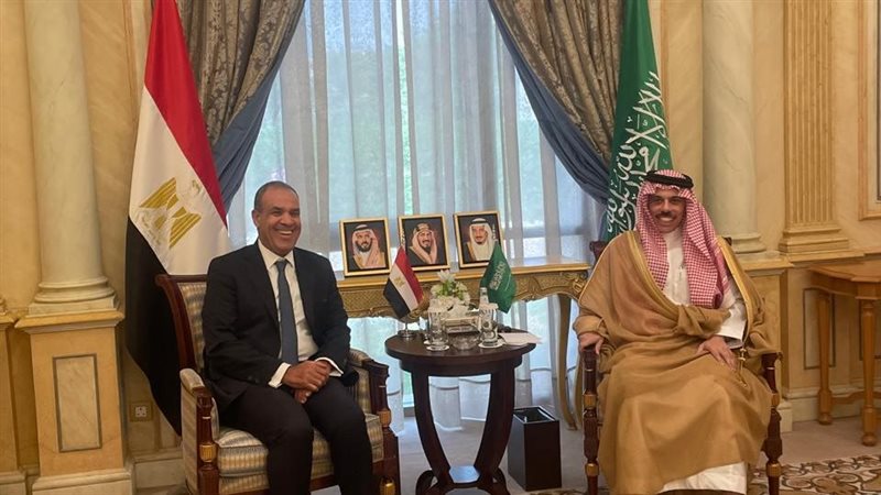 وزير خارجية مصر والسعودية