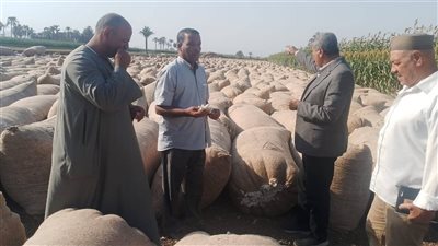 مع انطلاق توريد الأقطان.. محافظ أسيوط: دعم الفلاح وتحسين جودة المحصول  