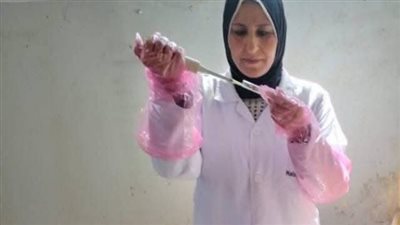 بيطري الشرقية ينتهي من فحص 1760 رأس ماشية ضد البروسيلا و  1372  السل البقرى 