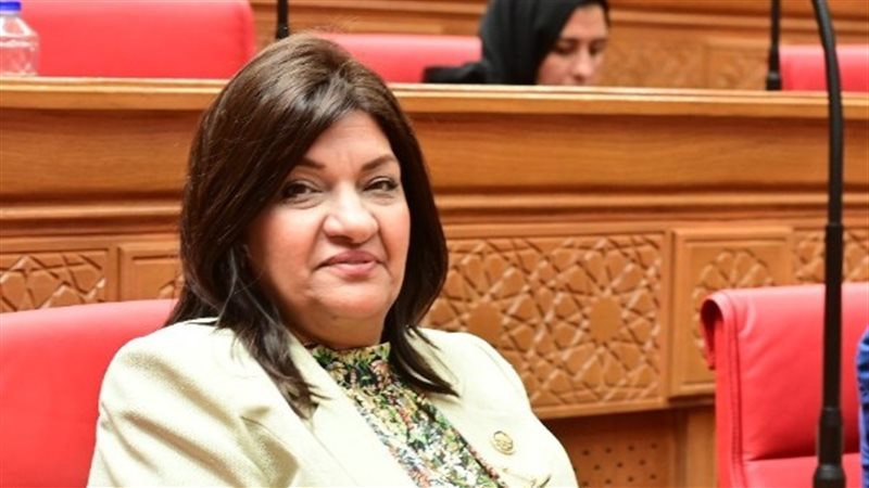 النائبة إيفلين متى