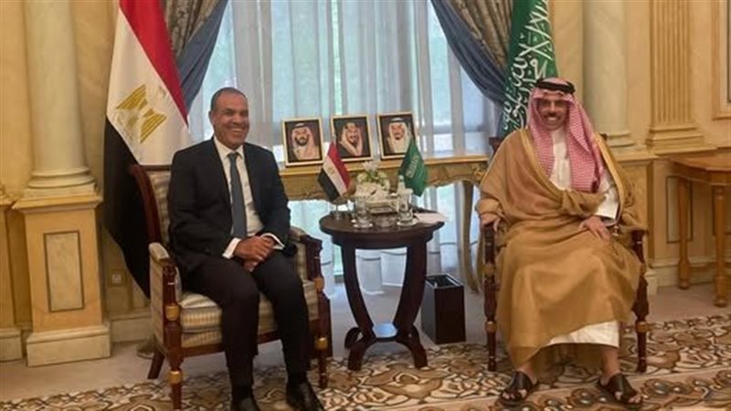 وزيرا خارجية مصر