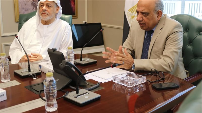 وزير الكهرباء 