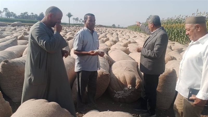 خلال الحملة