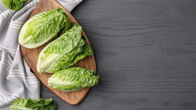 أضرار الإفراط في تناول الخس على الجهاز الهضمي والصحة العامة