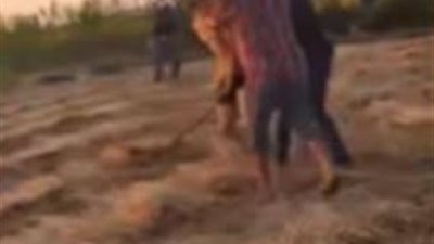 مشاجرة الجيرة بالدقهلية.. اعترافات المتهمين تكشف واقعة الاعتداء بالعصا الخشبية