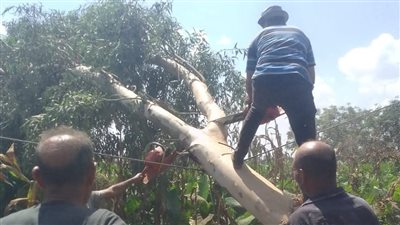 انقطاع الكهرباء بقرية شبرا زنجي  بالمنوفية | تعرف على السبب 