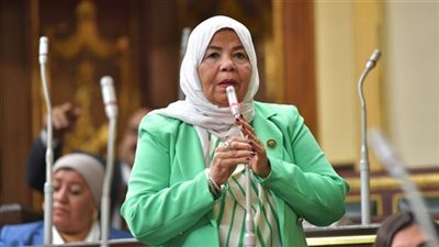 شادية خضير: مستعدون لمناقشة قانون العمالة المنزلية فور إحالته للبرلمان