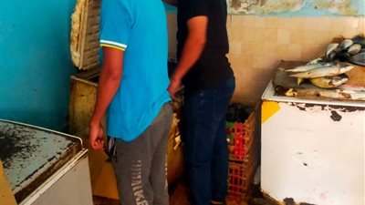 ضبط معمل ألبان غير مرخص ببني سويف                                             