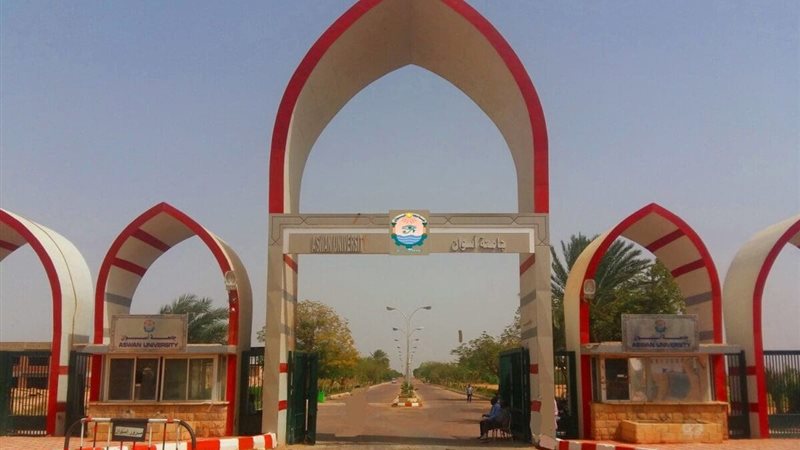 جامعة أسوان